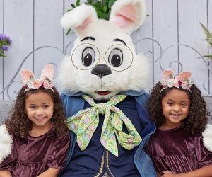 Get out with the family for Easter Bunny pictures around d Boston. Easter Bunny Visits photo courtesy of the Simon Center 