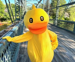 Connecticut's spring festivals and fairs have us feeling just ducky! Photo courtesy of the Simsbury Duck Race