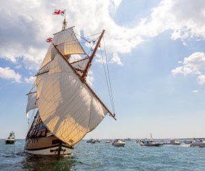 Hop aboard the top things to do in Plymouth, MA with kids, with a trip to Plymouth Rock and more!