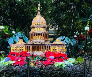 Season's Greenings at the US Botanic Garden is a quintessential DC holiday experience. Photo courtesy of the Garden