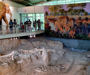 Things to Do in Waco With Kids: Ultimate Family Fun Guide