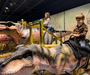Dinos Alive: Immersive Experience in Washington, DC: Riding dinosaurs