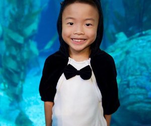Bring your little penguin to meet some other sea creatures. Photo courtesy of the Aquarium of the Pacific
