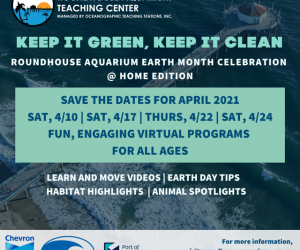 Earth Month Celebration with the Roundhouse Aquarium