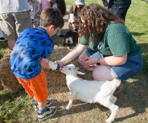 Meet farm animals at Earth Day Fairfax at Sully Historic Site. Event photo courtesy of the Fairfax County Park Authority
