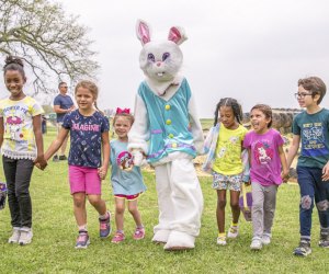 See the Easter Bunny at breakfasts, brunches, and more. 