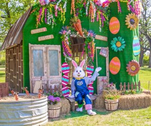 Easter Fest at P-6 Farms. Photo courtesy of the farm.