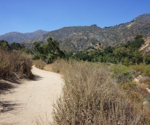 Wildlife Hikes for Kids  in Los Angeles: Eaton Canyon