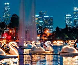 Have an only in La-La Land New Year's Eve with the Echo Park Swan Boats. Photo courtesy of Wheel Fun Rentals
