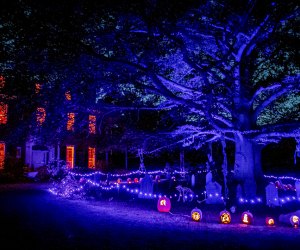 Get out for the chilly nights and spooky sights with the best Halloween events in Boston! Naumkeag Pumpkin Show event photo courtesy of The Trustees