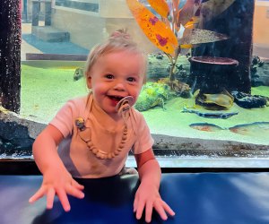 Little girl enjoying the aquarium. Photo by Kylie Williams 