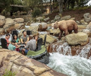 Ride the Calico River Rapids without leaving Anaheim. 