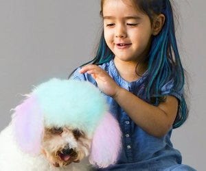 Kids Hair Chalk - JUMBO HAIR CHALK PENS - Washable Hair Color Safe