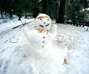 Where to Find Snow near Los Angeles: Palomar Mountain