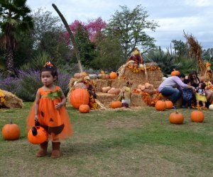 Kiddos can get their Halloween candy in nature. Photo courtesy of the LA Arboretum