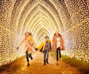 Step through dazzling light tunnels. Photo courtesy of Lightscape at the Arboretum