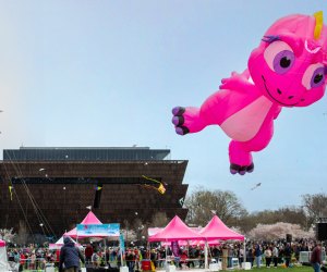 Bring your flashiest kite to the Blossom Kite Festival in DC. Photo courtesy of the event