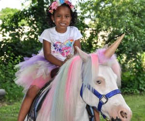 Make ponies the stars of your child's birthday party. Photo courtesy of The Little Party Ponies