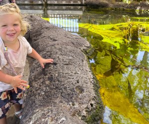 There are tide pools everywhere you look in San Diego! Photo by Kylie Williams
