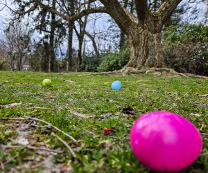 Take the little ones out for a family-friendly Easter egg hunt in Connecticut! Photo courtesy of the New Canaan Nature Center