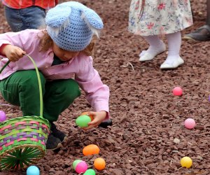 Grab a basket and head to the Easter Egg Hunt at Elmwood Zoo. Photo courtesy of the zoo