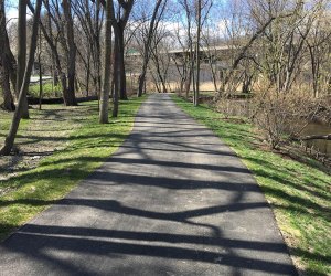 bike path trail in the woods Westchester South County Trail 