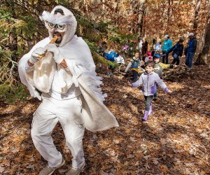 Come join the Quogue Wildlife Refuge with your little ones for an Enchanted Forest Walk. Photo courtesy of the refuge 