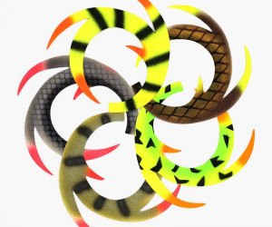 Animal Tails Hands-On Science Video