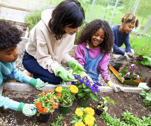 50 Environmental Activities Kids Can Do at Home