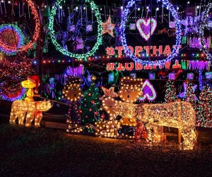 Charlie Brown and his crew are part of the world-record ERDAJT holiday lights display