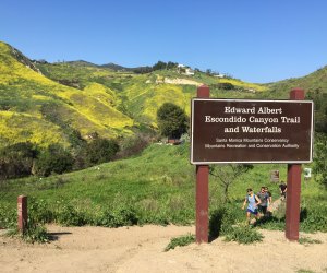 Escondido Canyon Trail is a hike that includes a waterfall.