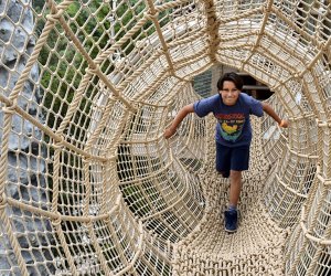 Best New Kid-Friendly Openings on Long Island in 2021 The Eye Opener outdoor tree house at the Long Island Aquarium features rope bridges, slides, and plenty more. Photo by Jaime Sumersille