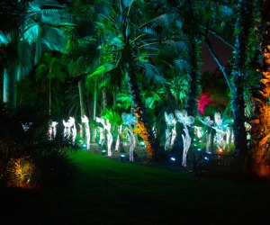 Visit a glowing fairyland by heading to NightGarden: A Magical Light Experience.Night Garden. photo courtesy of Fairchild Tropical Botanic Garden