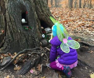 Fairy house on South Mountain Trail