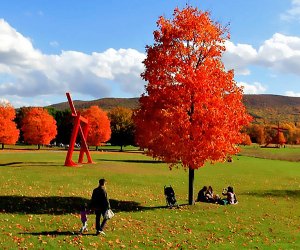 Between the towering artwork and Mother Nature's handiwork, Storm King Art Center is a stunning destination for a fall day trip from NYC. Photo courtesy of the venue