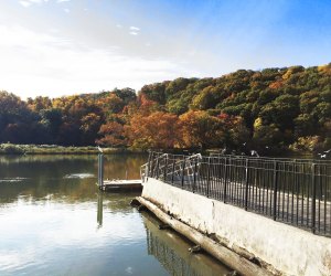 A visit to Inwood Hill Park feels like a true escape from the city