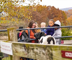 Kelder's Farm in Kerhonkson offers dozens of attractions for families to enjoy, plus plenty of pick-your-own produce. Photo courtesy of the farm