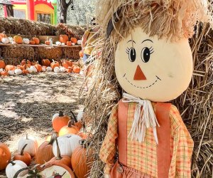 If you prefer your Halloween on the not-so-scary side, visit the Fall Festival at Family Farms. Photo courtesy of the farm