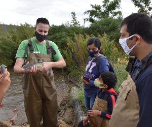 Hudson River Family Seining