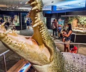 Take a bite out of discovery at Fernbank. Photo courtesy of the museum