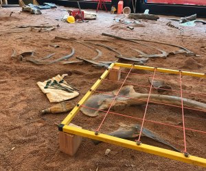 Examine a replica dinosaur dig site and take a photo with a 8-foot dinosaur bone at the Field Museum's Pop Up Dig Site. Photo courtesy of the museum