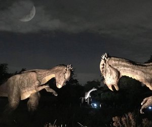 Fall favorite Dinosaurs After Dark returns this weekend! Photo courtesy of Field Station Dinosaurs