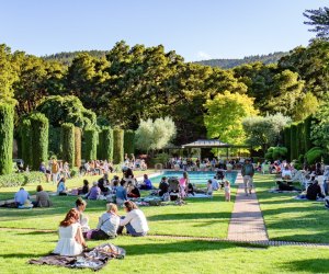 Things To Do with San Francisco Babies Before They Turn 1: Filoli