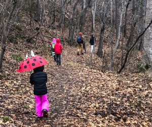 First Day Hikes are a healthy and free way to start off the new year. Photo courtesy of Virginia State Parks