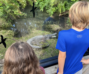 kids looking at crocodiles Visiting the Central Florida Zoo with Kids