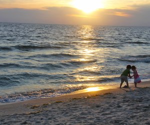 Sanibel Island:  Best Winter Vacation Ideas for Families: Affordable Vacation Spots for Kids of All Ages