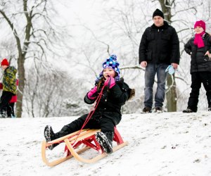 Sledding is always a fun free activity for kids in Chicago. Photo courtesy of the Forest Preserve of Cook County