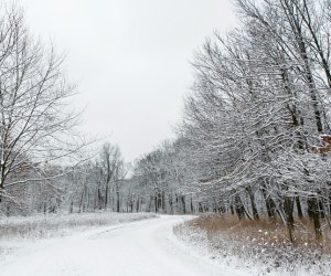 Enjoy a nature hike and more at Winter Exploration Day at Dan Ryan Woods. Photo courtesy of the Forest Preserve of Cook County