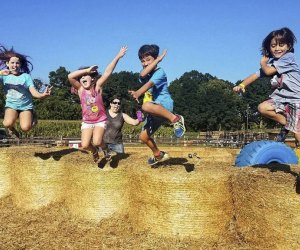 Photo of children jumping on hay bales at a corn maze near Boston.