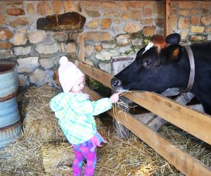 Enjoy a Winter's Day on the Farm at Fosterfields on Sunday. Photo courtesy of Morris County Parks